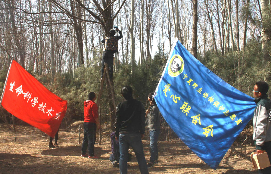 2015033002.jpg