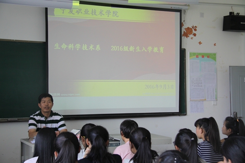 用2.jpg