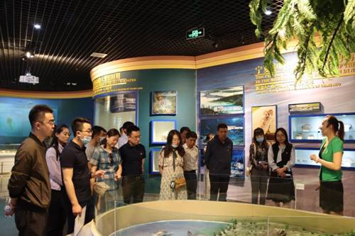 http://www.nxtc.edu.cn/__local/4/5E/CA/143BC3CE097CB2BF26236652054_466A8270_1F644.jpg