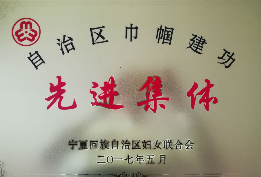 自治区巾帼建功先进集体_看图王.jpg